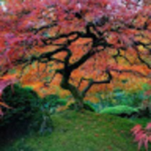 Meet your Posher, D.